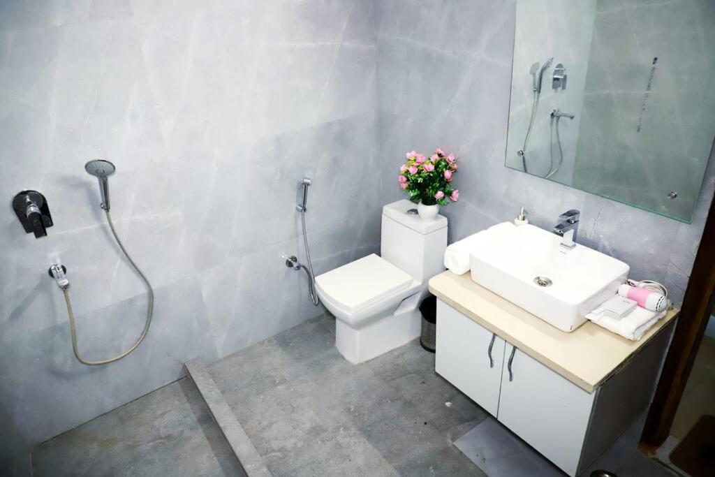 Apartment Divine India Service 3bhk, 2b Saket *